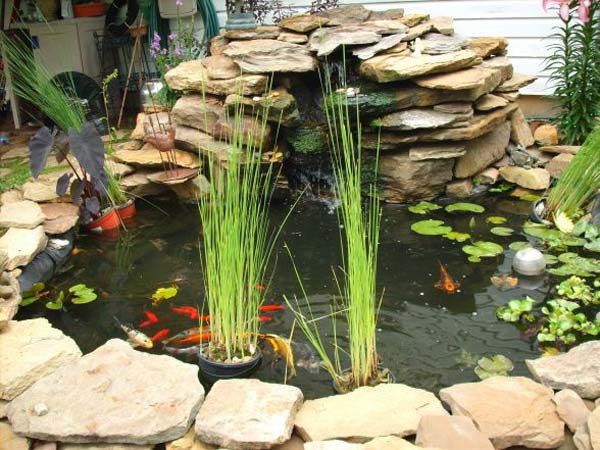 DIY Outdoor Aquarium
 21 Small Garden Backyard Aquariums Ideas That Will