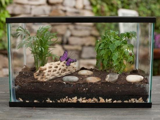 DIY Outdoor Aquarium
 8 DIY Fish Tank Planter & Terrarium Ideas