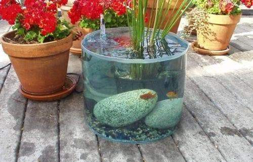 DIY Outdoor Aquarium
 Garden Water Feature Pop Up Pond Aquarium