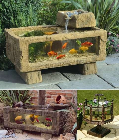 DIY Outdoor Aquarium
 5 Outdoor Aquarium Designs that will Bring Life to Your
