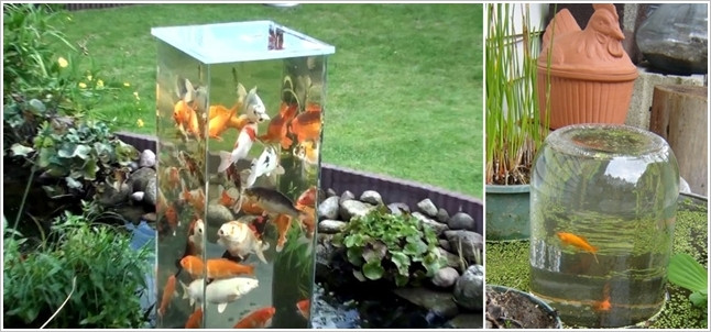 DIY Outdoor Aquarium
 5 Outside Aquarium Designs that may Convey Life to Your