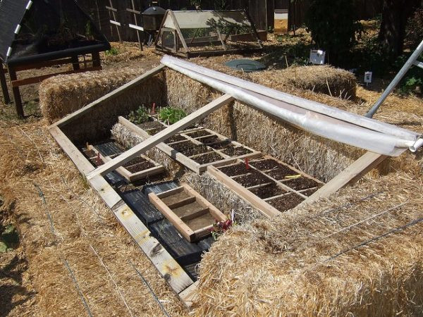 DIY Outdoor Greenhouse
 7 DIY Greenhouse Ideas That Are True Gardening Gold