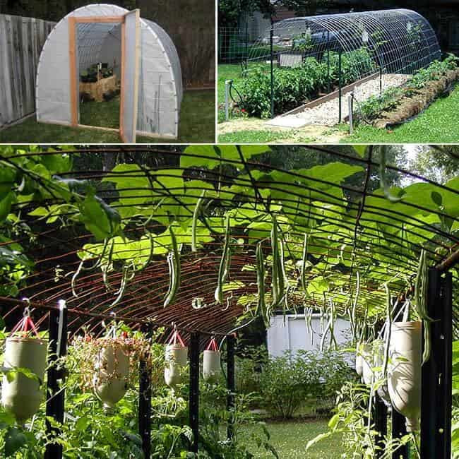 DIY Outdoor Greenhouse
 18 Amazing DIY Greenhouse Ideas