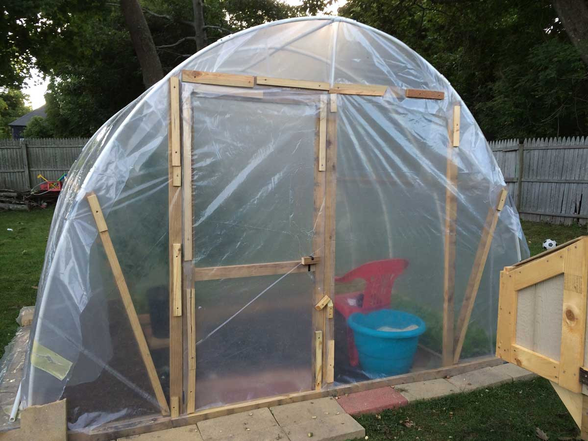 DIY Outdoor Greenhouse
 Unbelievable $50 DIY Greenhouse