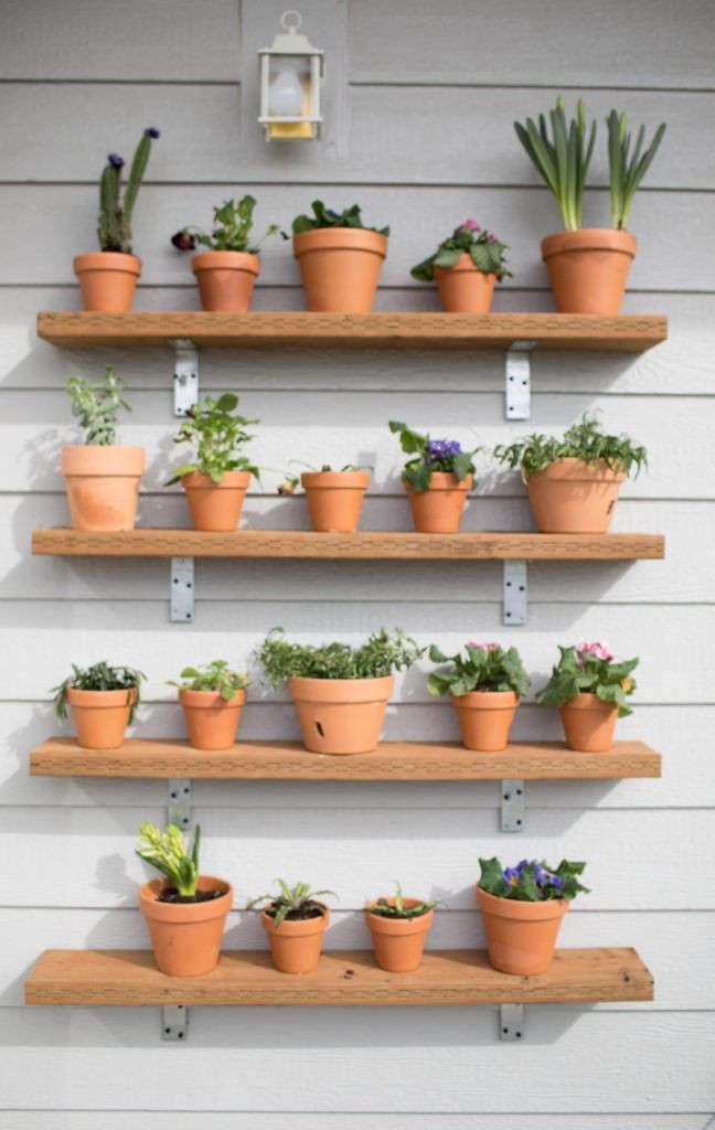 DIY Outdoor Shelves
 DIY Plant Wall