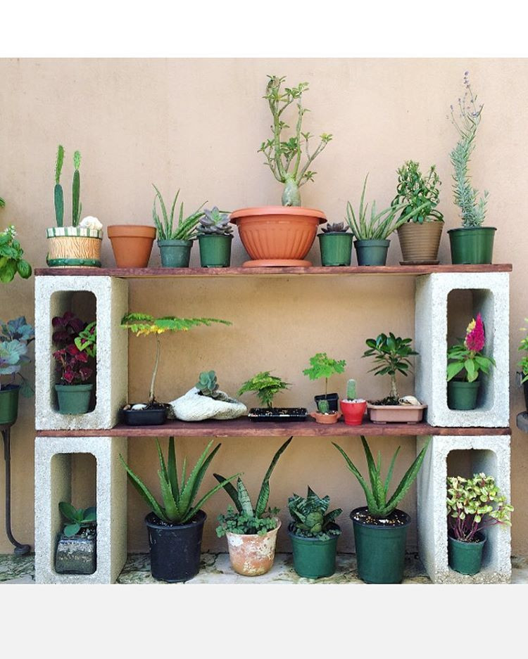 DIY Outdoor Shelves
 DIY Cinder block plant shelf doityourself potting