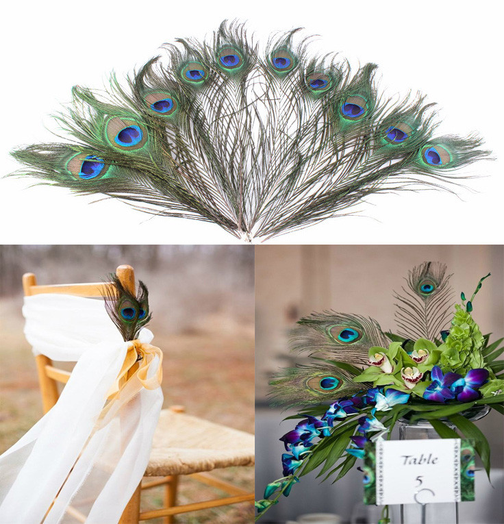 DIY Peacock Party Decorations
 APRICOT 10pcs lot Natural Peacock Feather Wedding