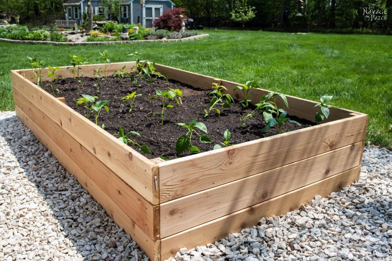 DIY Raised Garden Beds Plans
 DIY Raised Garden Beds Tutorial The Navage Patch