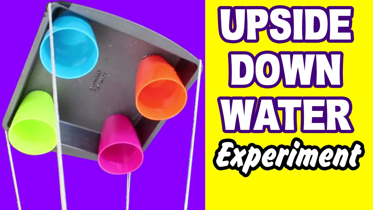 DIY Science Projects For Kids
 DIY Easy Science Experiment