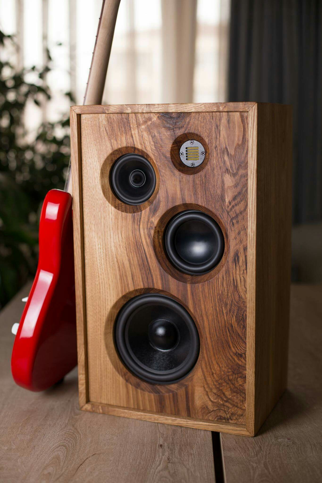 The Best Diy Speaker Kits Audiophile - Home, Family, Style ...