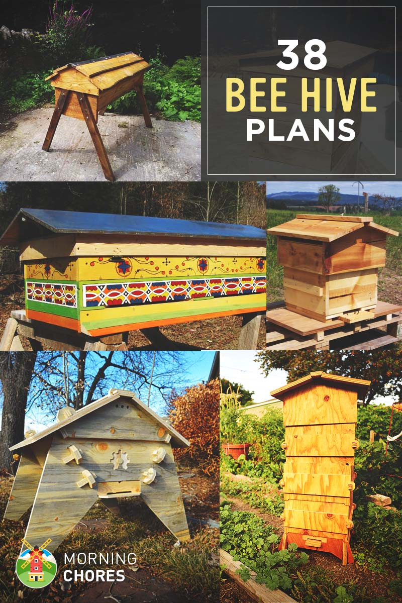 DIY Top Bar Hive Plans
 38 DIY Bee Hive Plans with Step by Step Tutorials Free