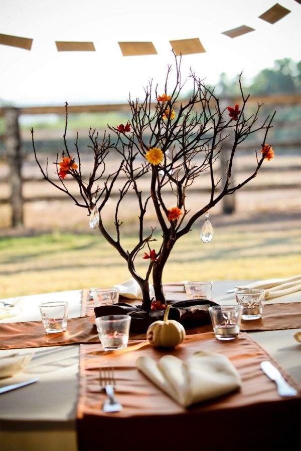 DIY Tree Branch Decor
 How to use branches creatively – 30 DIY projects for your home