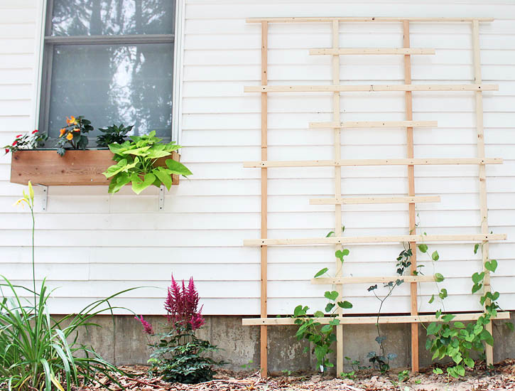 DIY Wood Trellis
 How To Build A Garden Trellis From Start To Finish