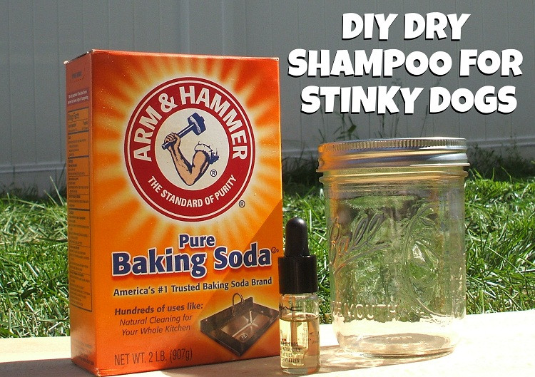 Dog Dry Shampoo DIY
 DIY Homemade Dry Shampoo for Dogs