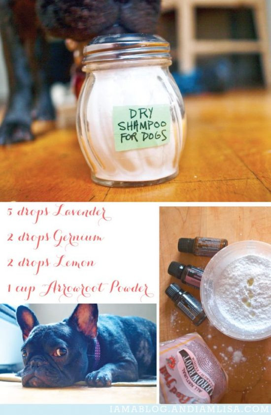 Dog Dry Shampoo DIY
 Dry Dog Shampoo Homemade Recipe Video Tutorial