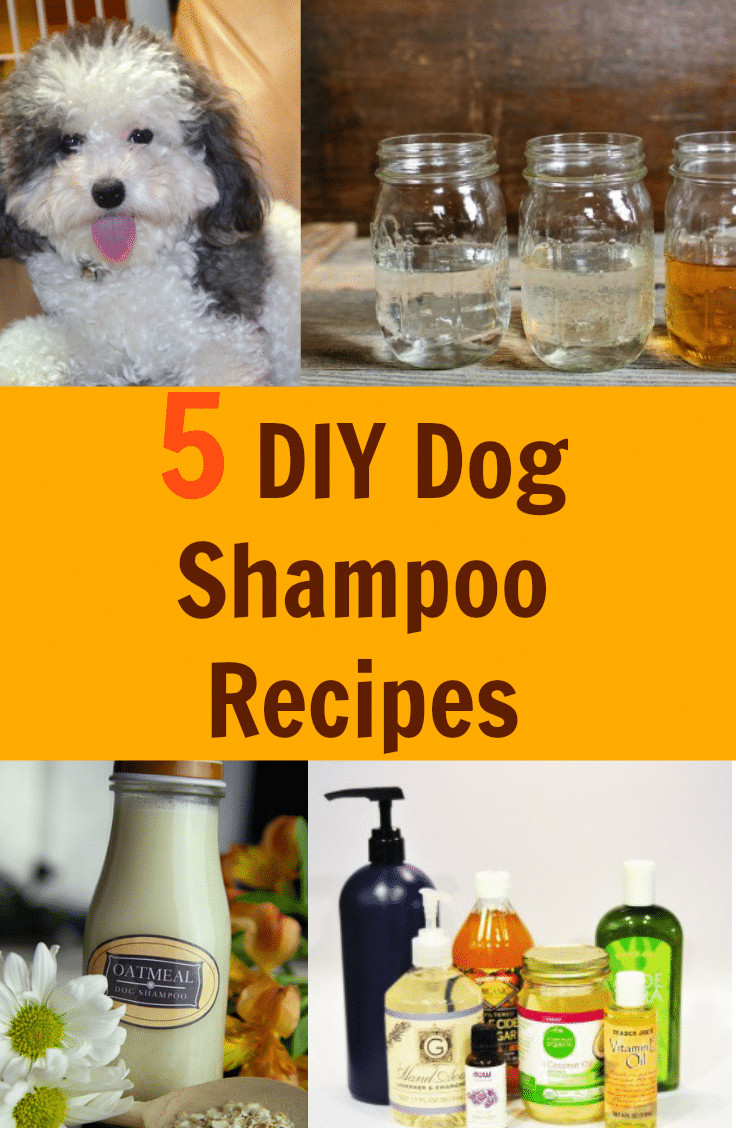 Dog Dry Shampoo DIY
 5 Homemade Dog Shampoo Recipes Fabulessly Frugal