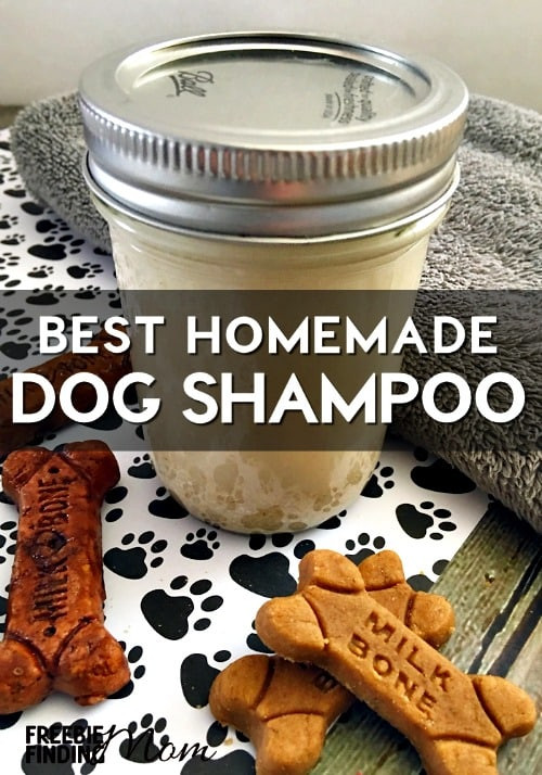 Dog Dry Shampoo DIY
 Best Homemade Dog Shampoo All Natural Oatmeal Dog Shampoo