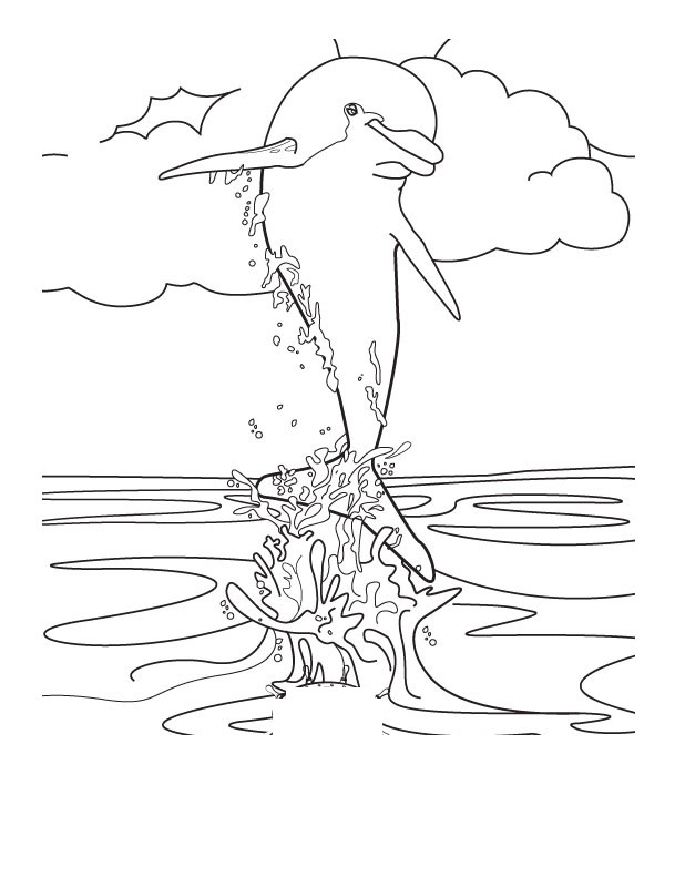 Dolphin Coloring Pages For Kids
 Free Printable Dolphin Coloring Pages For Kids