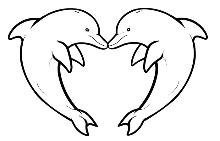 Dolphin Coloring Pages For Kids
 Dolphin Template Animal Templates