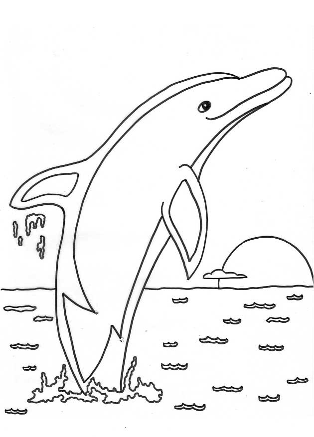 Dolphin Coloring Pages For Kids
 Free Printable Dolphin Coloring Pages For Kids