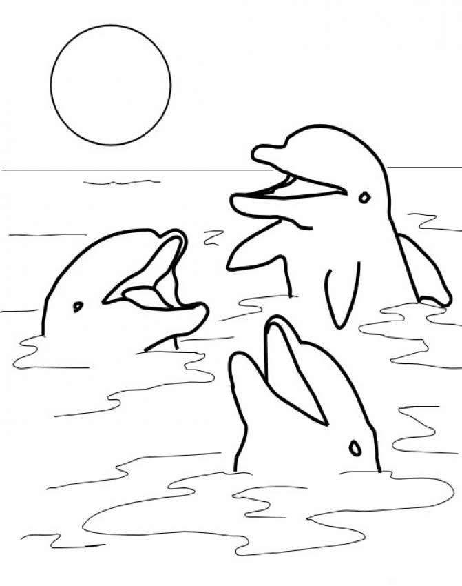 Dolphin Coloring Pages For Kids
 Free Printable Dolphin Coloring Pages For Kids