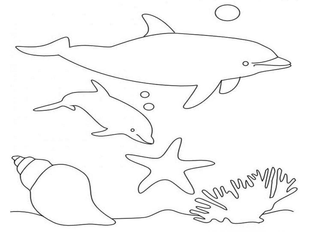Dolphin Coloring Pages For Kids
 Free Printable Dolphin Coloring Pages For Kids