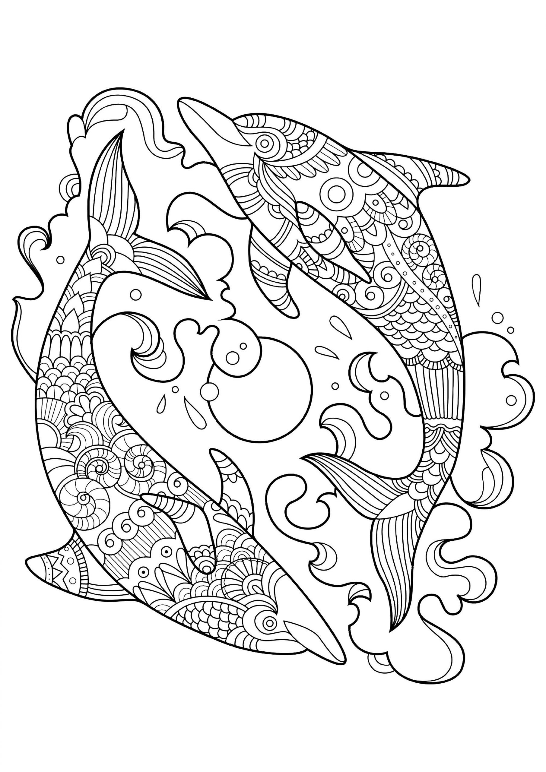 Dolphin Coloring Pages Printable
 Dolphins to color for children Dolphins Kids Coloring Pages