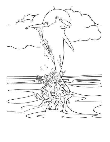 Dolphin Coloring Pages Printable
 Dolphin Coloring Pages
