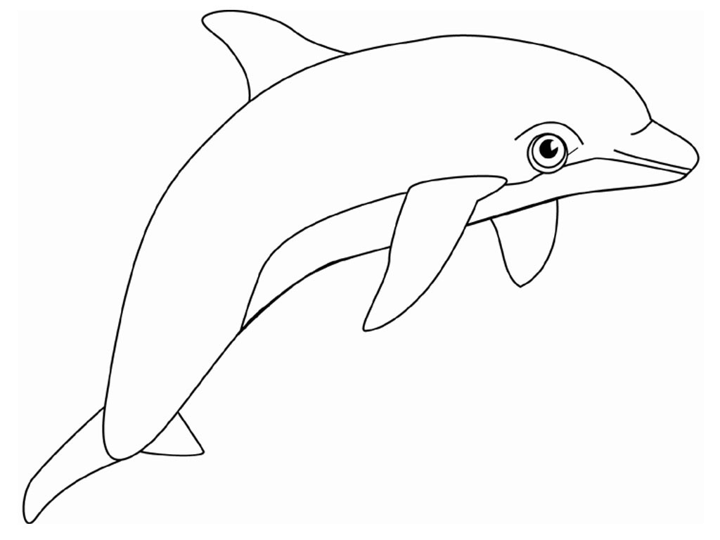 Dolphin Coloring Pages Printable
 Free Printable Dolphin Coloring Pages For Kids