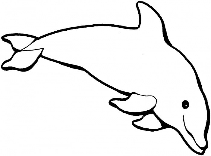 Dolphin Coloring Pages Printable
 Dolphin Template Animal Templates