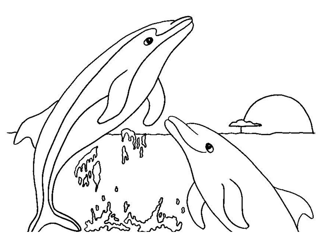 Dolphin Printable Coloring Pages
 Free Printable Dolphin Coloring Pages For Kids