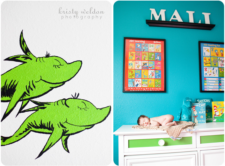 Dr Seuss Baby Room Decor
 newborn mali Kristy Weldon graphy