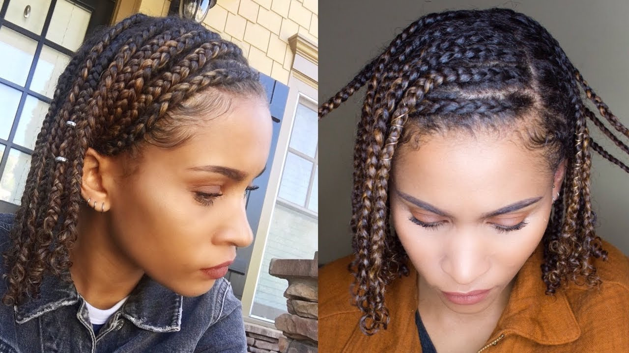 Easy Box Braid Hairstyles
 Mini BRAIDS Easy Protective Style for NATURAL HAIR