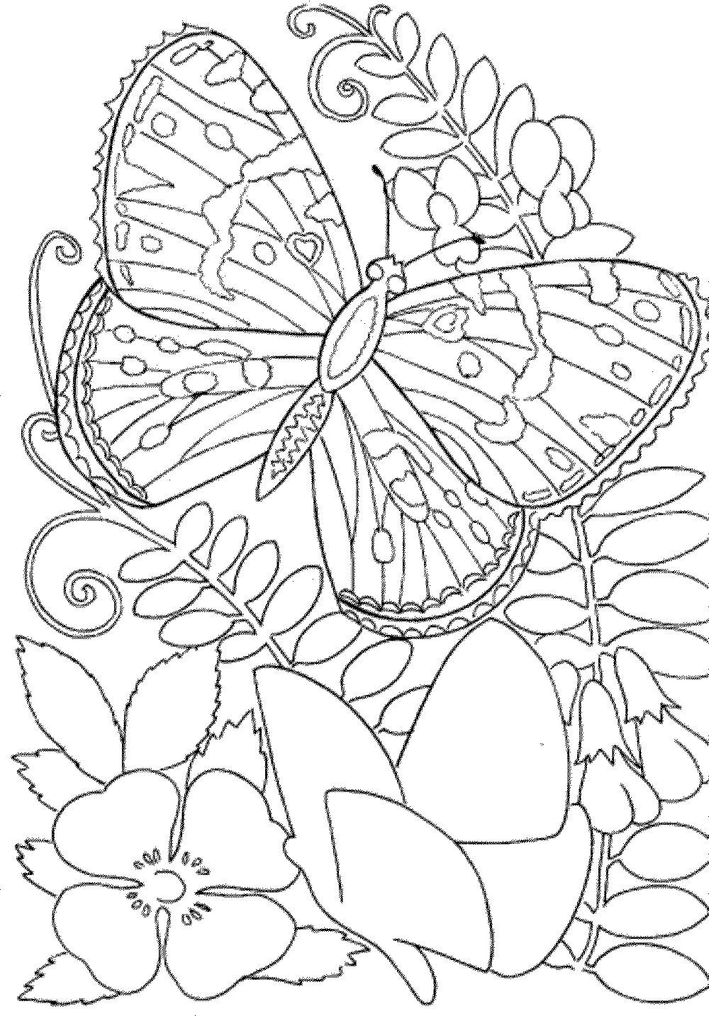 Easy Coloring Pages For Adults
 Free Printable Easy Coloring Pages Printable 360 Degree