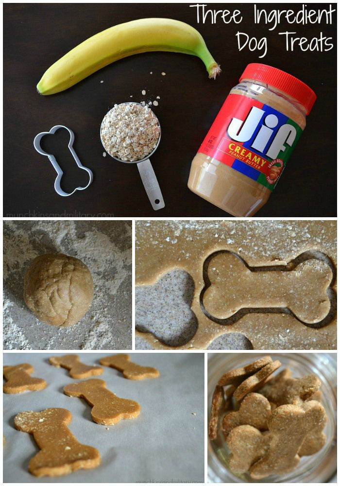 Easy DIY Dog Treats
 Homemade Peanut Butter Banana Dog Treats
