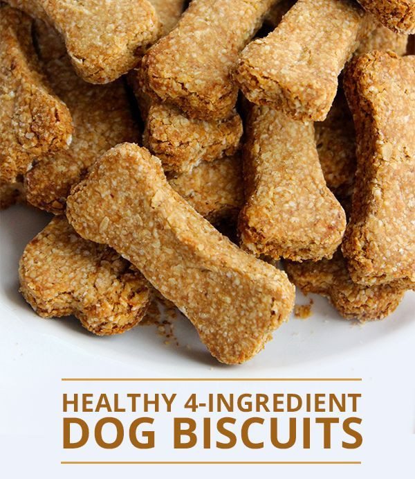 Easy DIY Dog Treats
 Healthy 4 Ingre nt Dog Biscuits Recipe