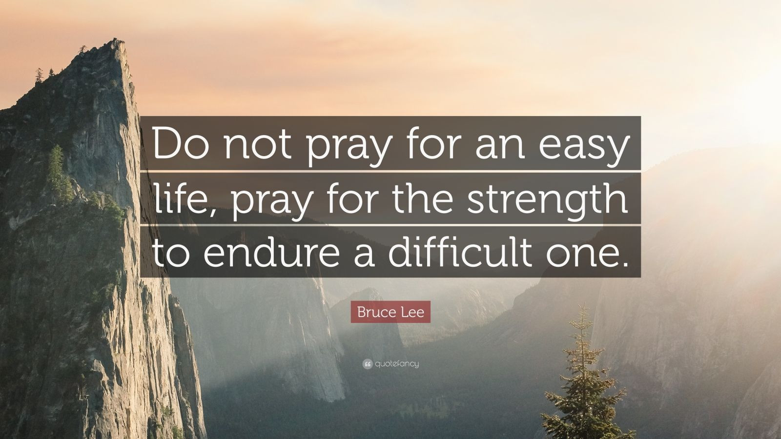 Easy Life Quotes
 Bruce Lee Quote “Do not pray for an easy life pray for