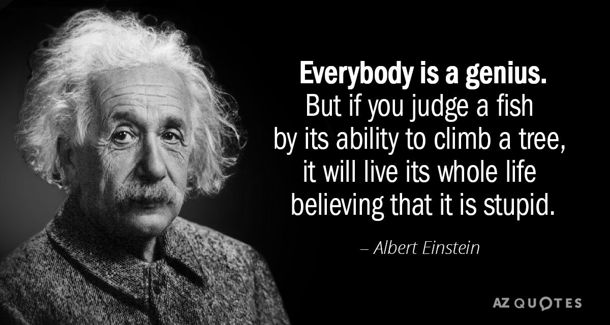 Einstein Education Quote
 Albert Einstein quote Everybody is a genius But if you
