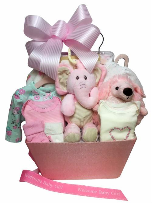 Elegant Baby Gifts
 Elegant Baby Girl Gift With Clothes The Bountiful Basket 2019
