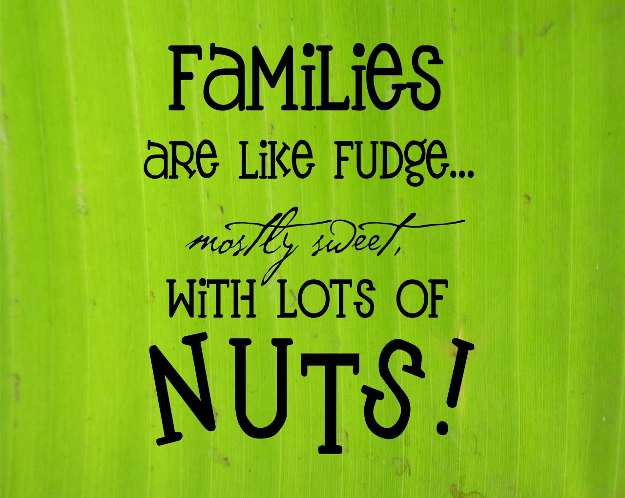 Family Image Quotes
 Crazy Family Quotes QuotesGram