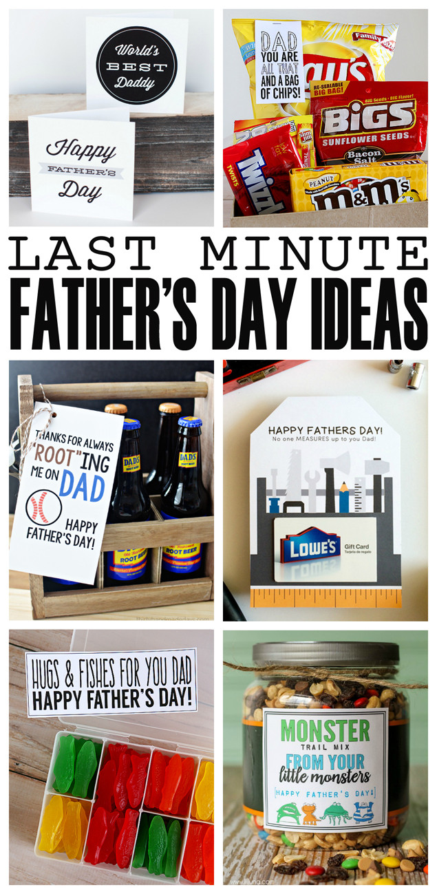 Father'S Day Gardening Gift Ideas
 Father s Day Gift Ideas – Fun Squared