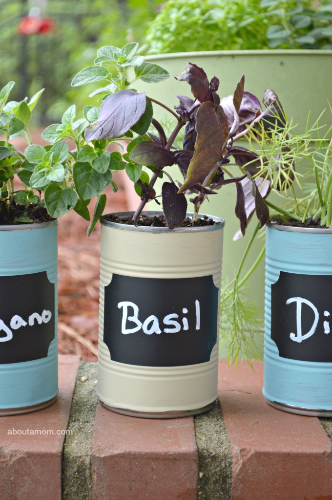 Father'S Day Gardening Gift Ideas
 DIY Kitchen Herb Garden About A Mom