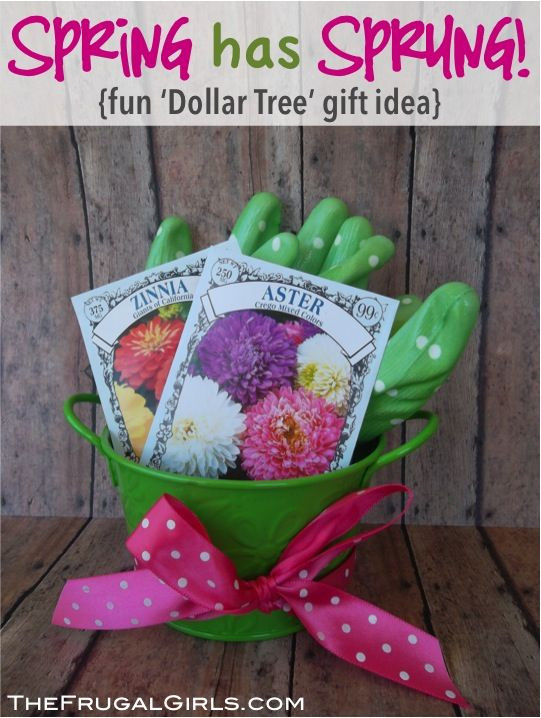 Father'S Day Gardening Gift Ideas
 Sweet Little Gardening Gift Ideas for your favorite