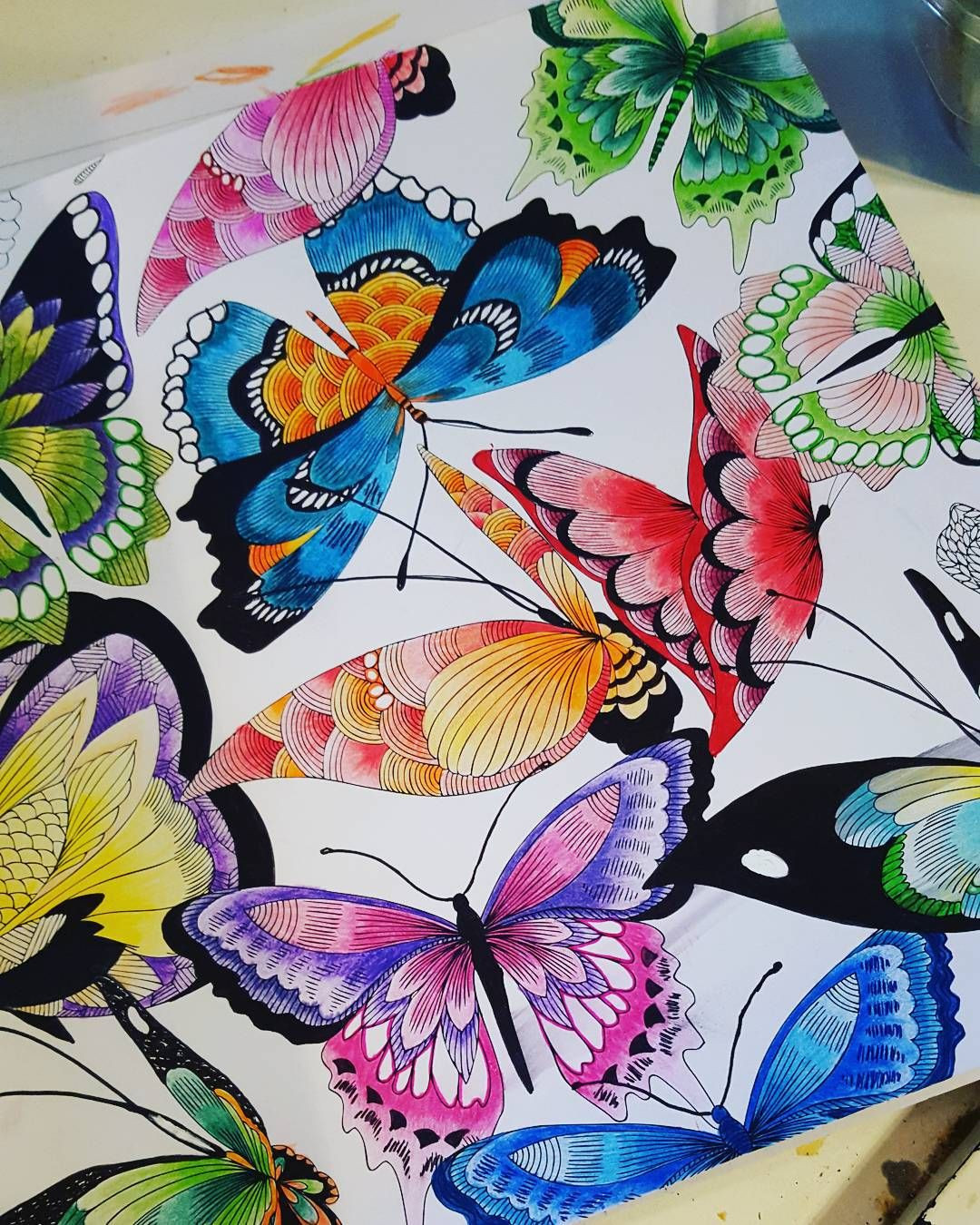 Finished Adult Coloring Pages
 Finished my butterflies tropicalworld adultcoloringbook