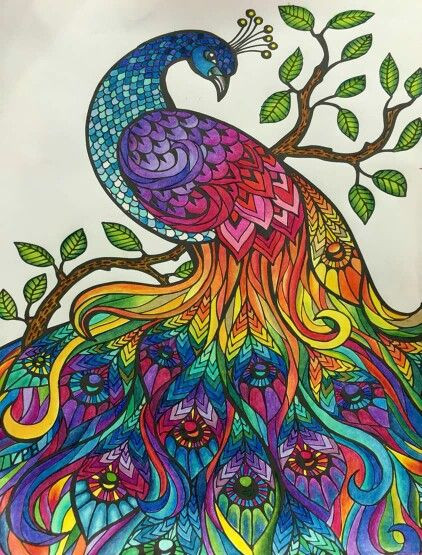 Finished Adult Coloring Pages
 Peacock