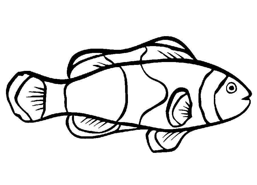 Fish Coloring Pages For Kids
 quivedilu Wiki Printable Fish