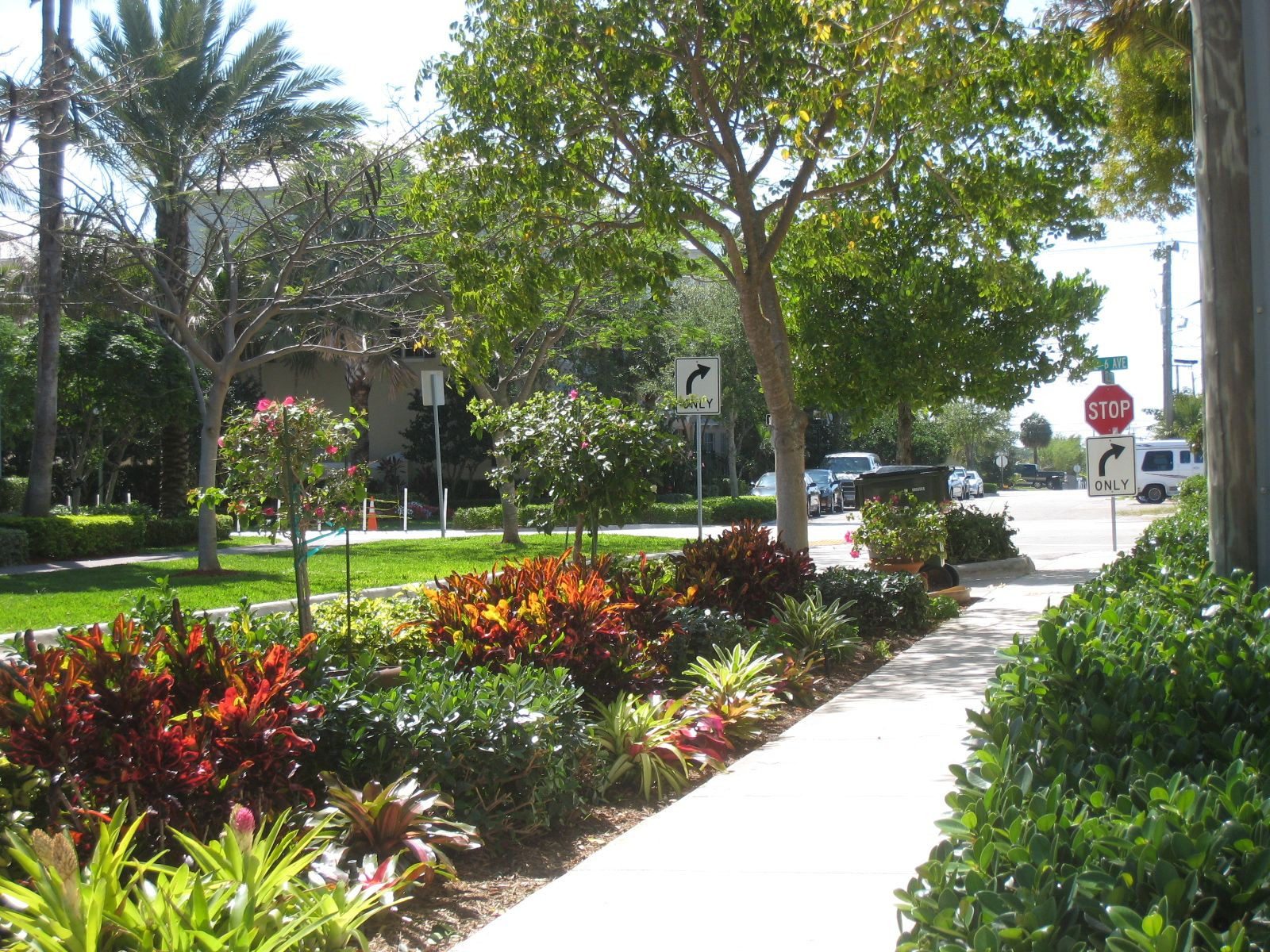 Florida Landscape Design Pictures
 south florida landscaping ideas pictures