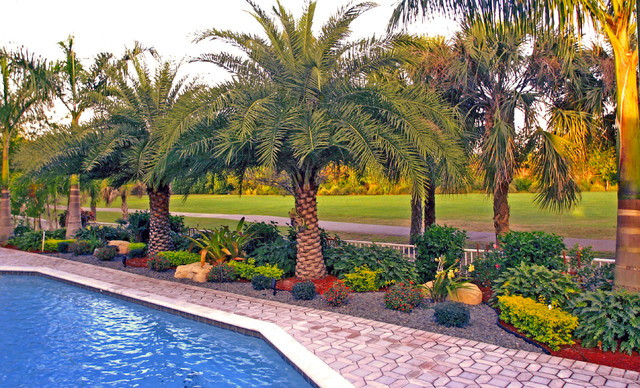 Florida Landscape Design Pictures
 Backyard Landscape South Florida Tropical Landscape
