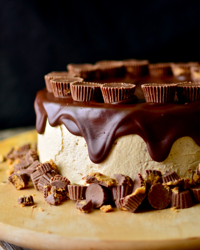 Flourless Chocolate Peanut Butter Cake
 Yammie s Noshery Flourless Chocolate Peanut Butter Cup Cake