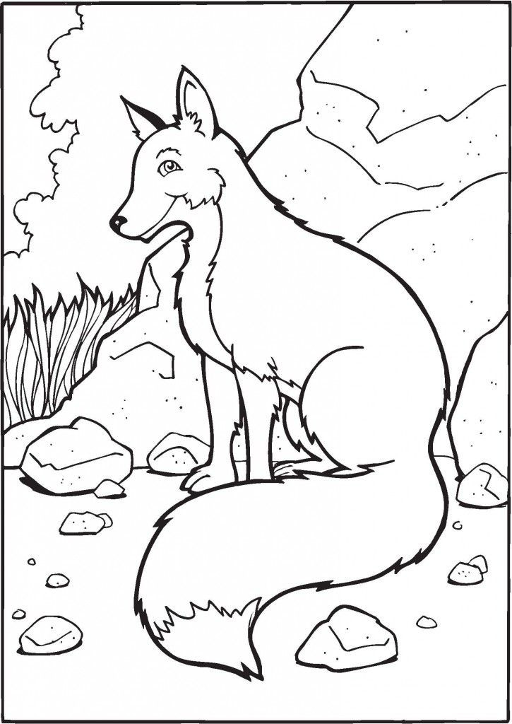 Fox Coloring Pages For Kids
 Fox Coloring Pages for Kids